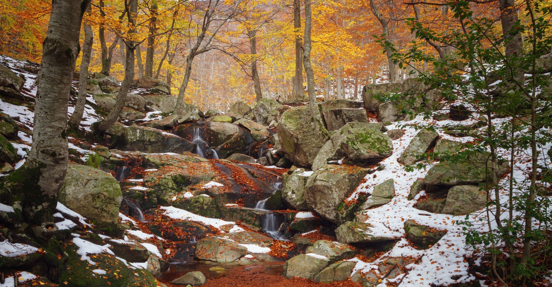 excursio montseny neu
